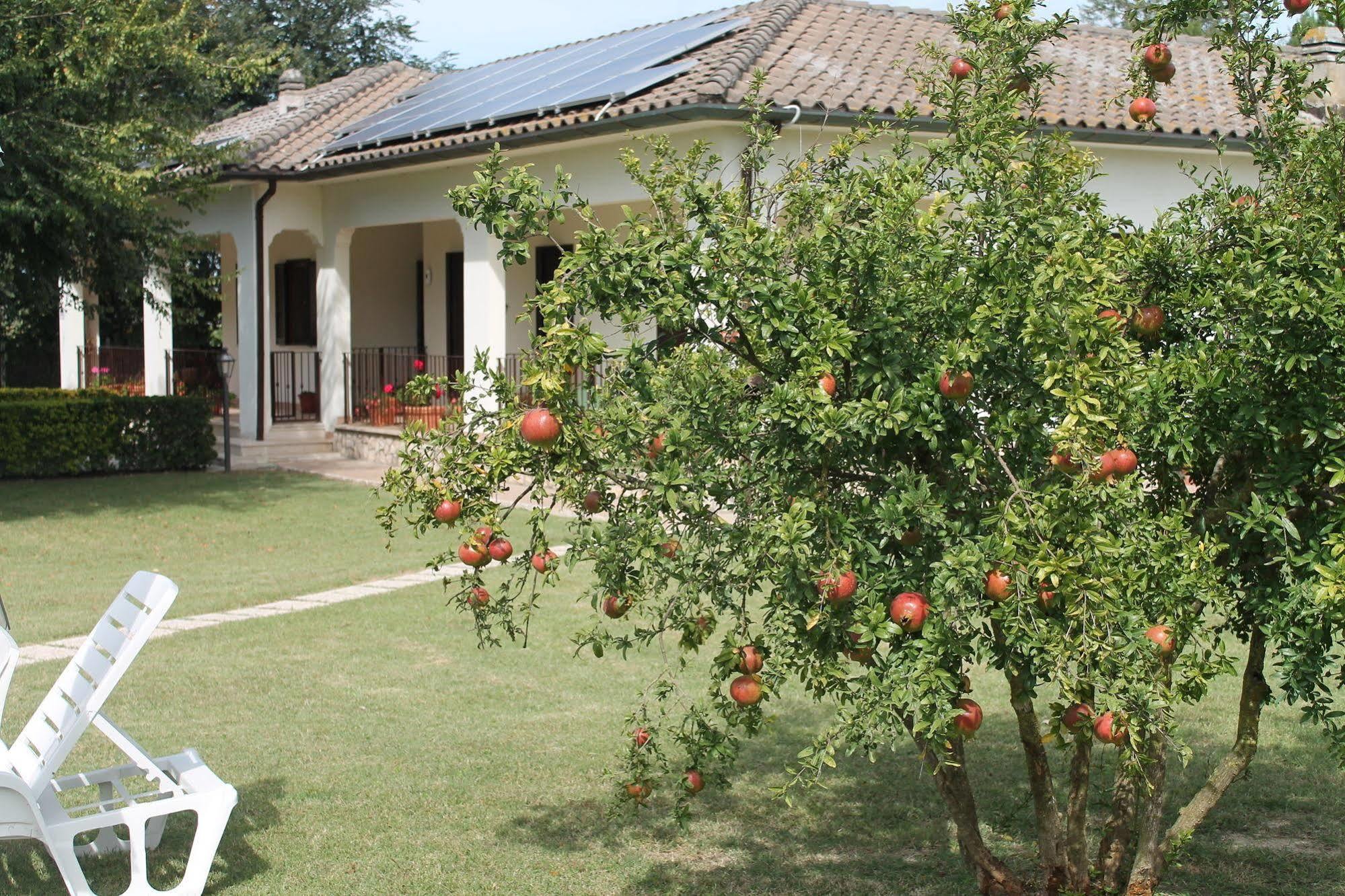 Hotel Relais La Mimosa Pontinia Exteriér fotografie